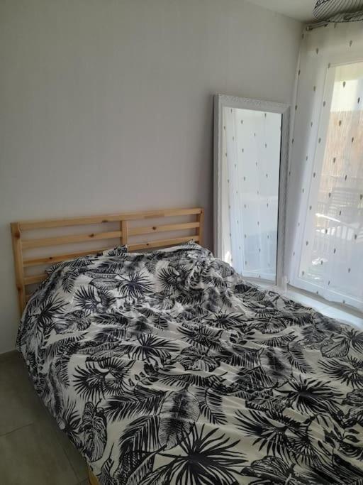 Super Cosy Rue Mourre Avignon