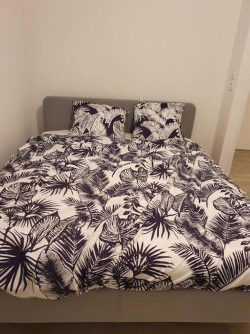 Super Cosy Rue Mourre *